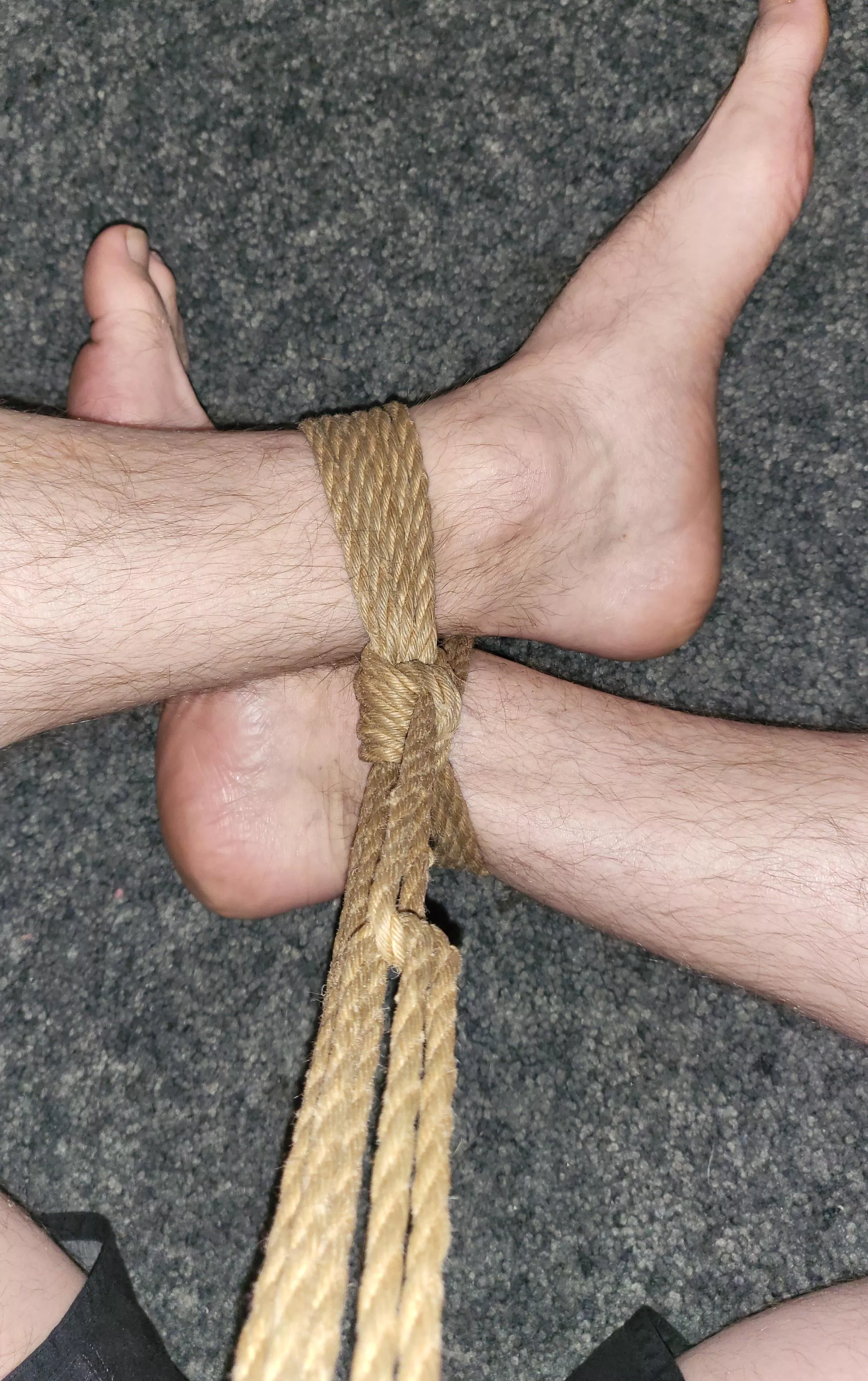 Getting back into things