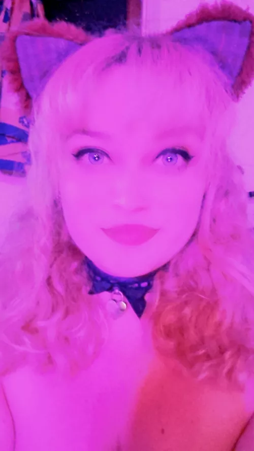 happy collared kitten after training!