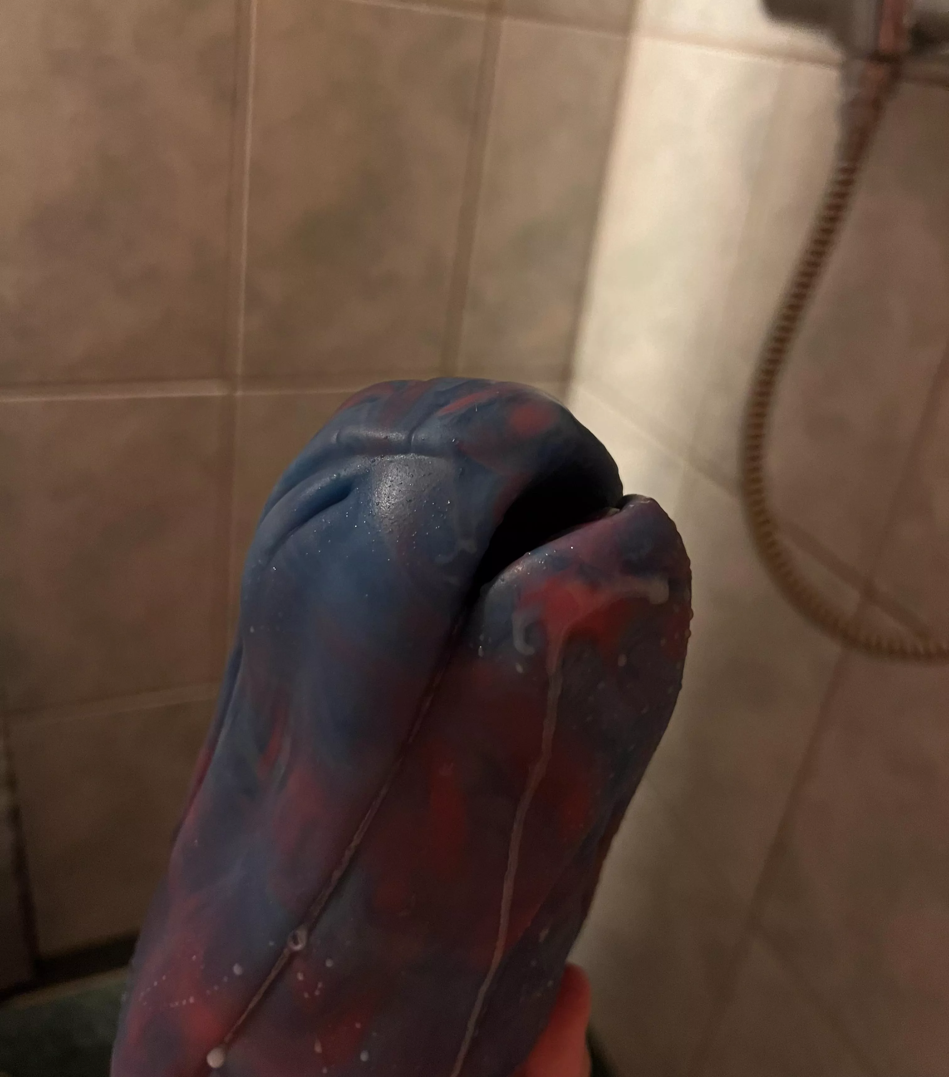 Janine arrived today, already love her 🥰