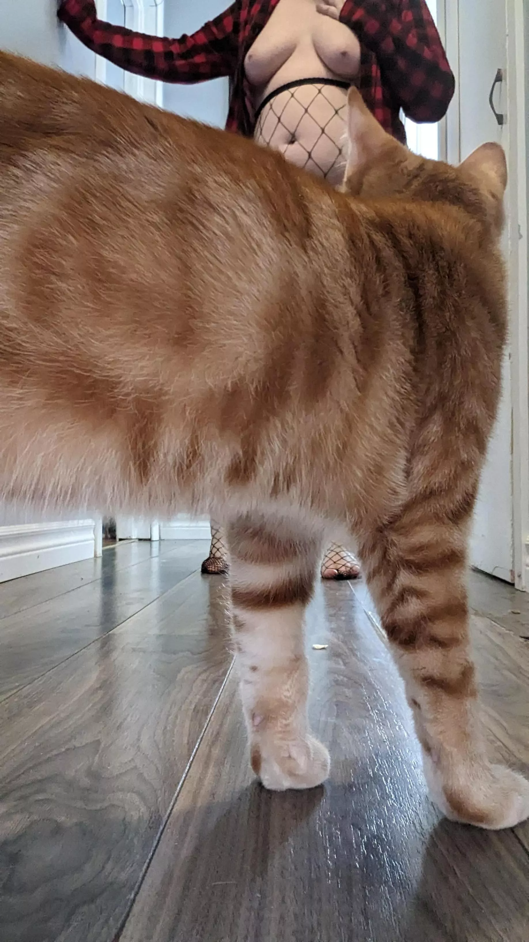 My pussy was ready for it's closeup.