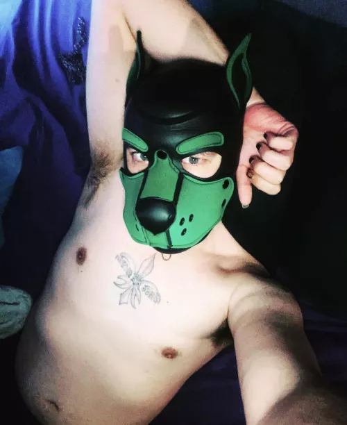 Oh hi there… it’s not Wednesday but every day it’s s hump day to me . Who wants to come hump?