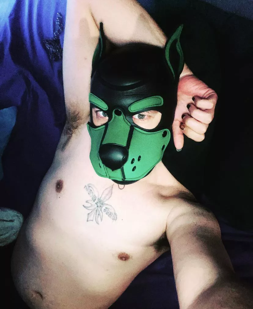 Oh hi there… it’s not Wednesday but every day it’s s hump day to me . Who wants to come hump?