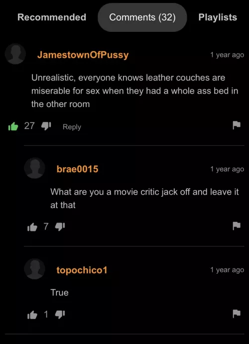 Pro porn critic