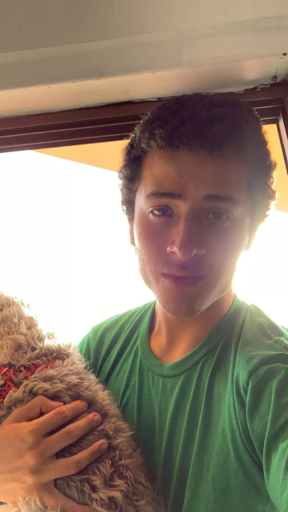 sunny days are good ngl w doggie x sunny days are good ngl w doggie x