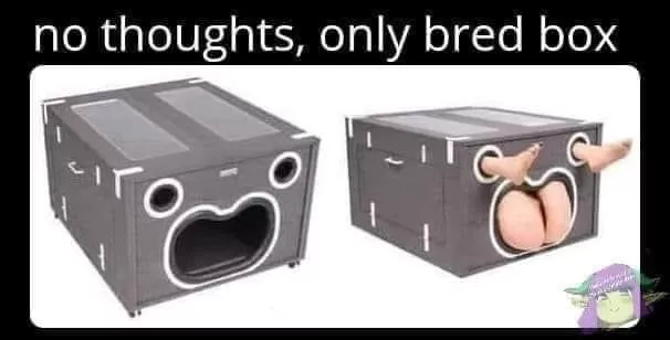 What is this toy called?