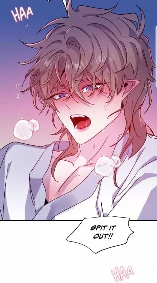 When you see your dog chewing on something it's not supposed to.