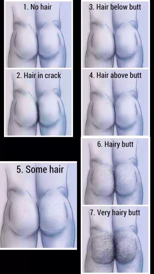 Where do you belong?