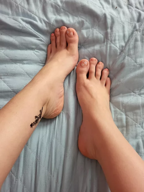 Your Queen needs her toes licked and sucked (OC)