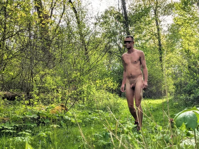 Beautiful afternoon hike, the woods are really greening up!