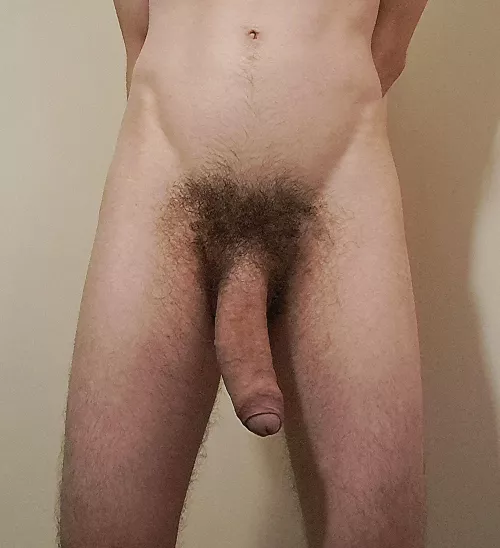 Big fat Aussie horsecock