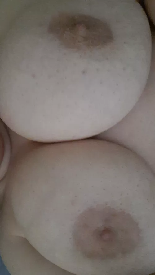 Can I watch you cum for these tits?