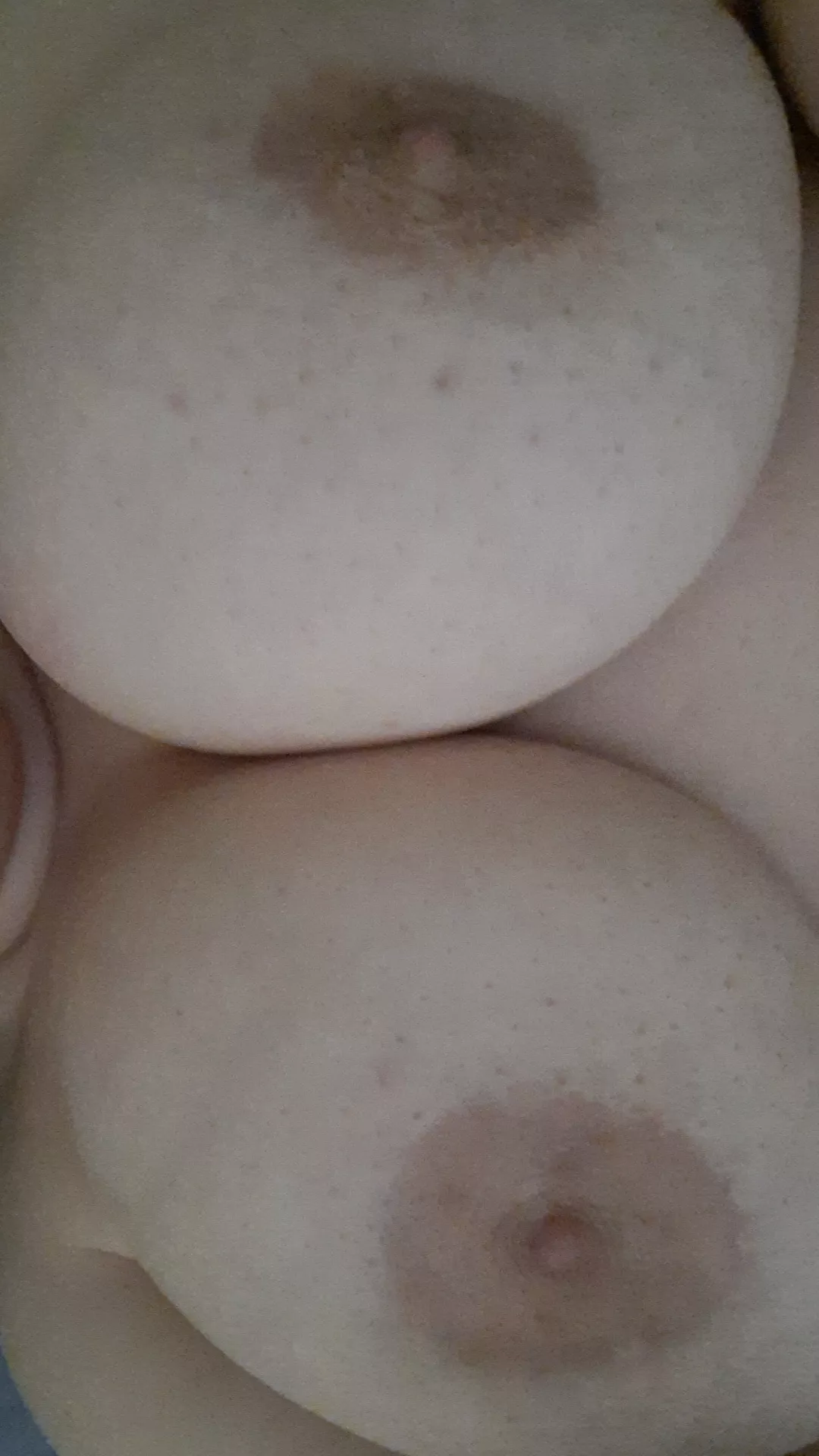 Can I watch you cum for these tits?