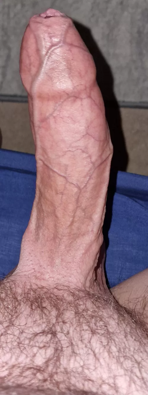 Don't mind me, just wondering what to do with this?