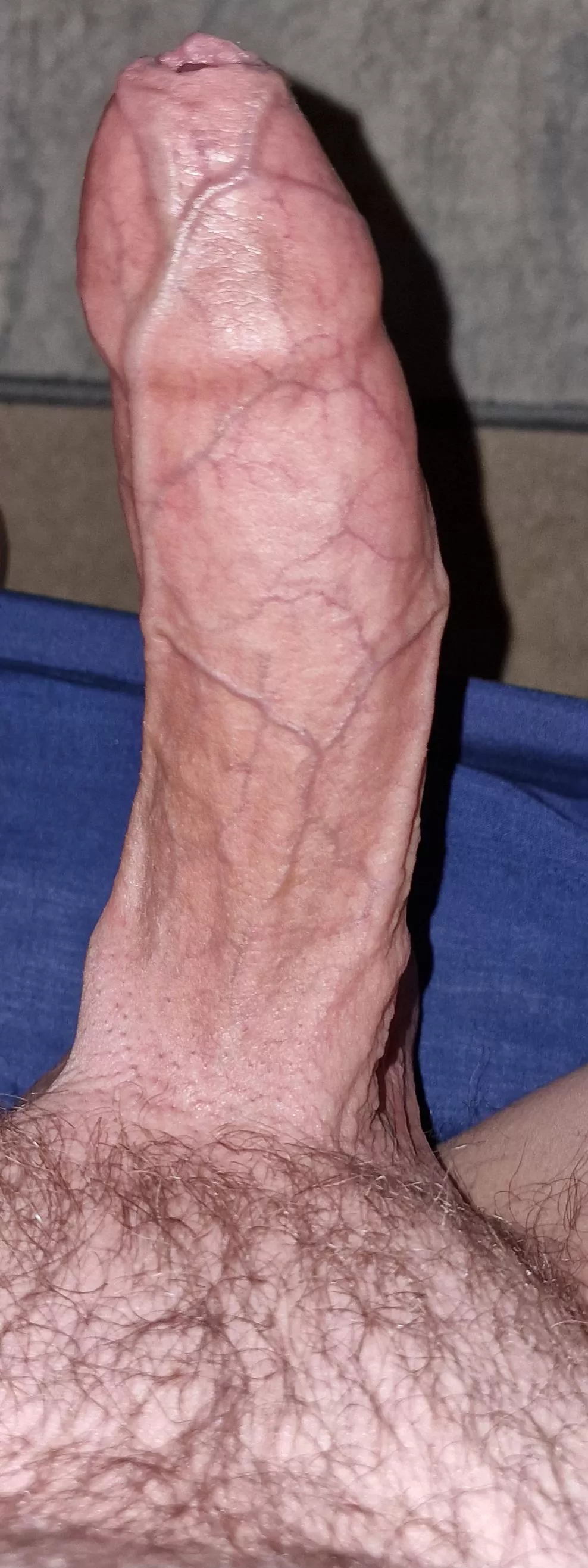 Don't mind me, just wondering what to do with this?