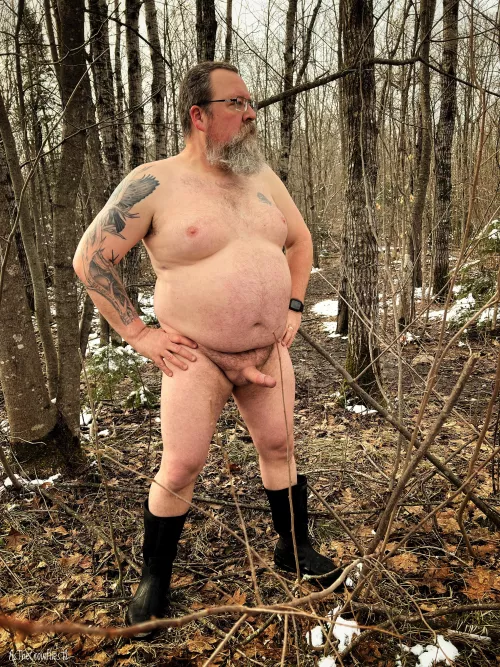 Finally got out for a walk in the woods