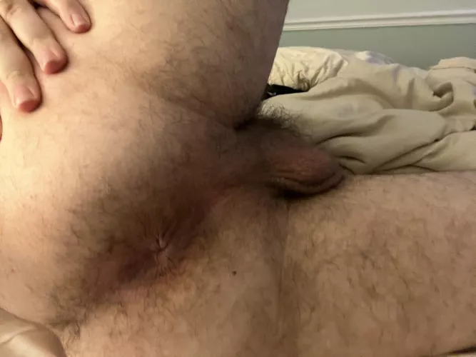 How does my hairy hole look?
