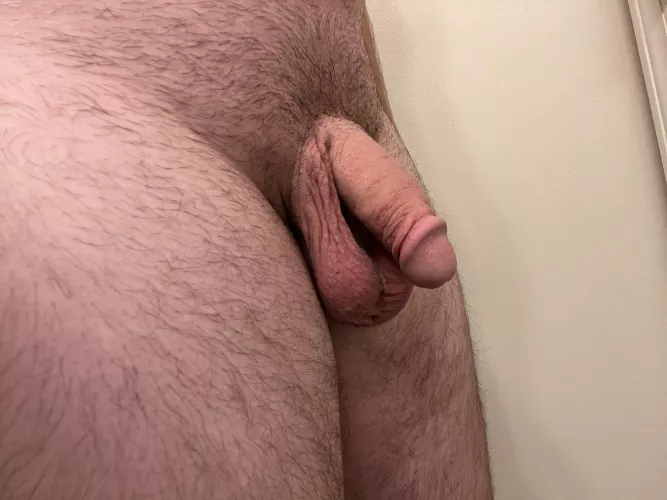 My softie - do you like?