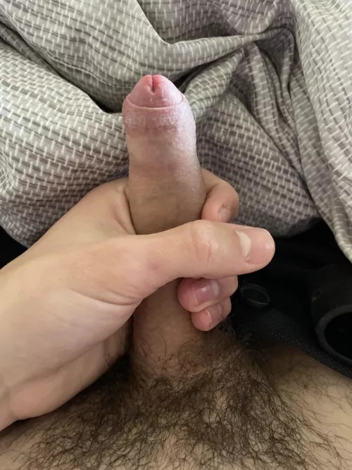 Should i pull it back?