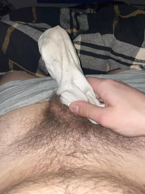 Sisters sock [M]
