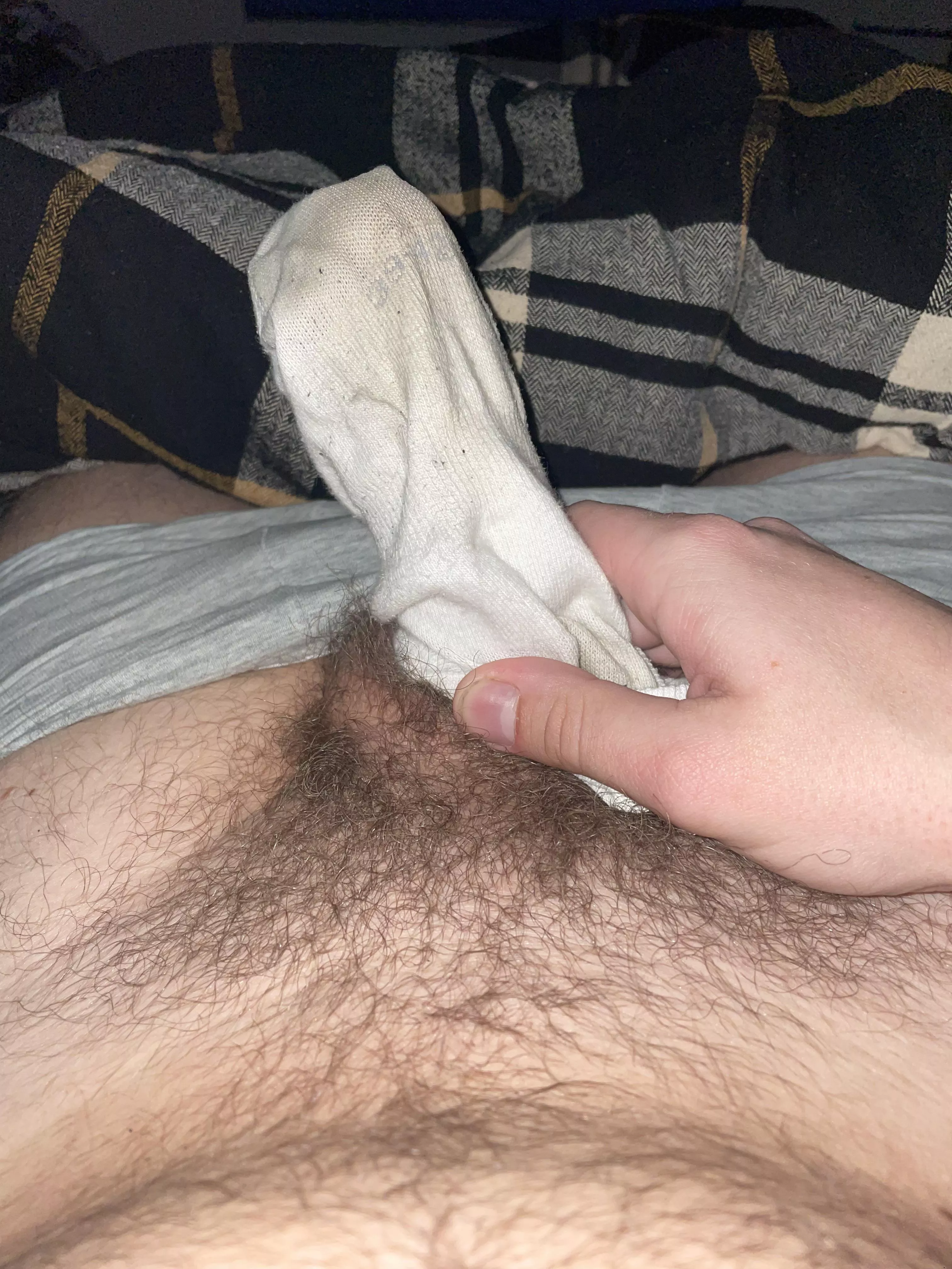 Sisters sock [M]