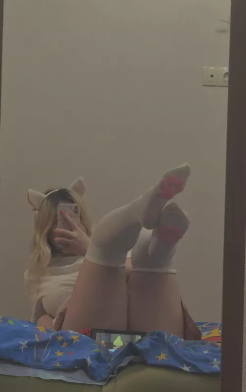 the house cat is right here!