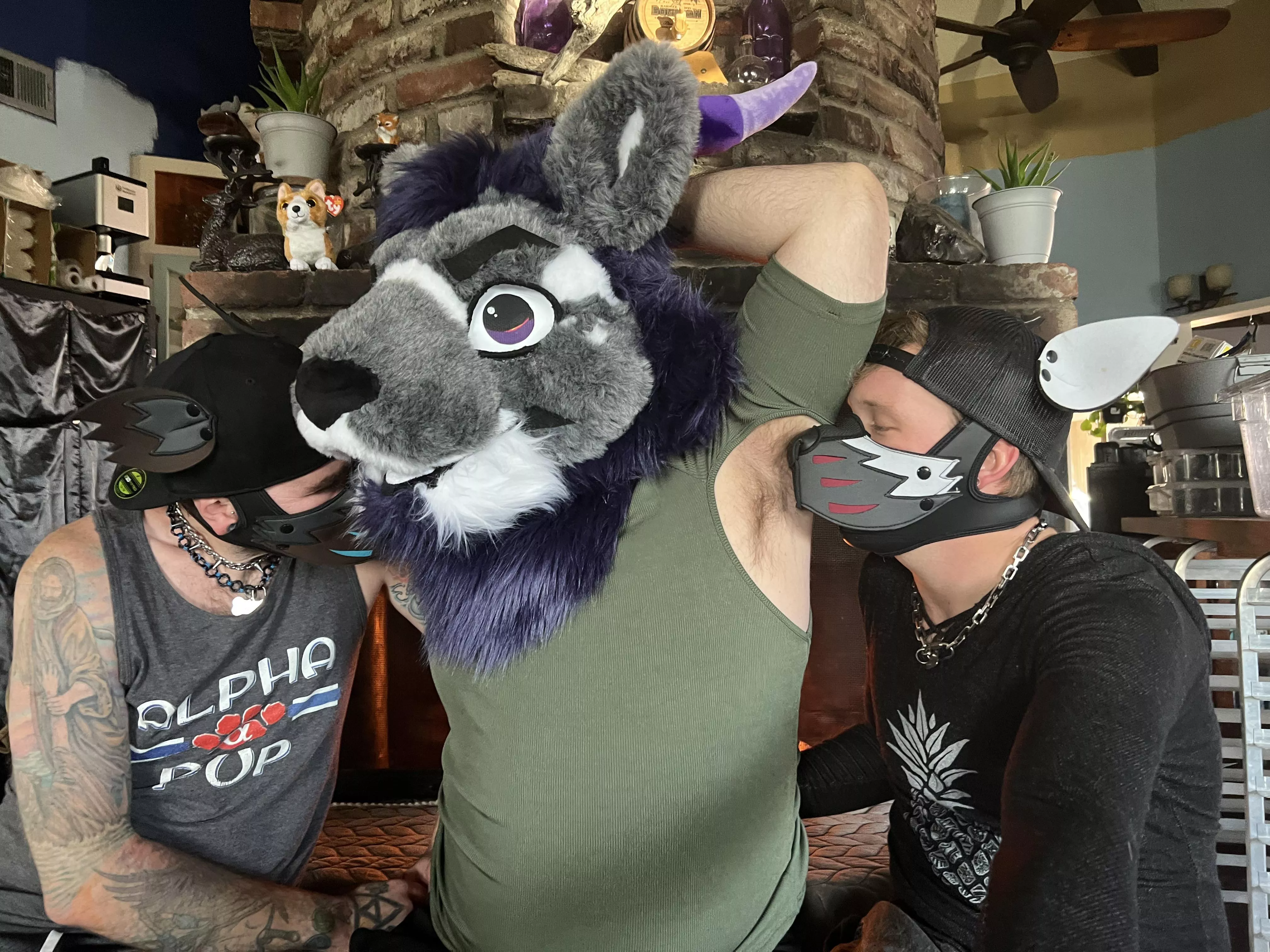 These puppies love this shirt, gives them the best snorfles