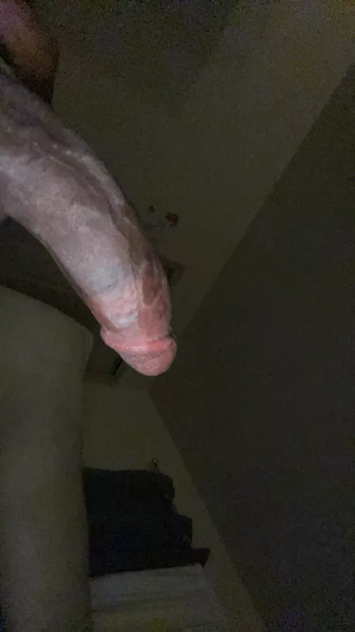 Anybody need some hard dick right now?😕