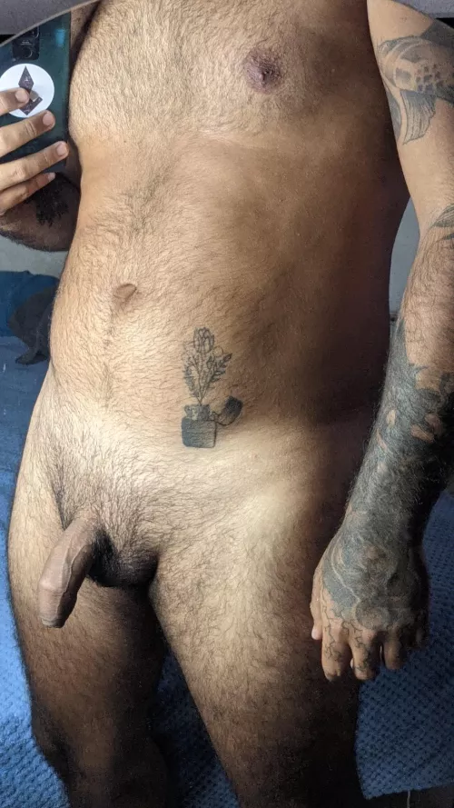 do you like my soft cock?