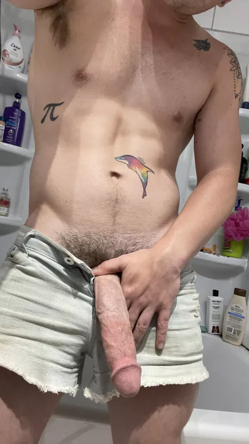 Don’t try to tame me