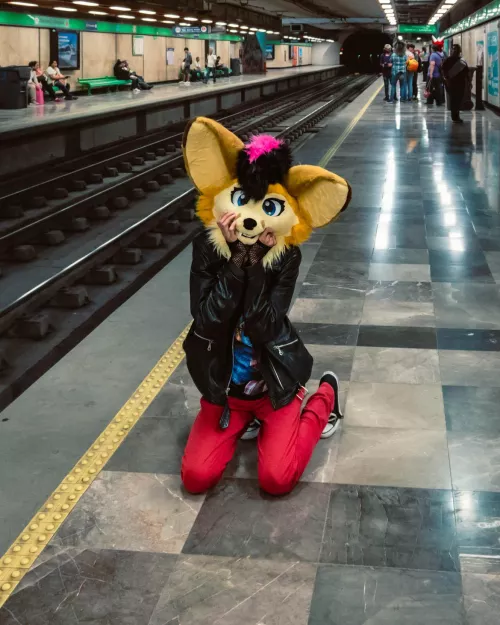 Fluffy critters on the subway?! More likely than you think! 📸: PinkDog on IG
