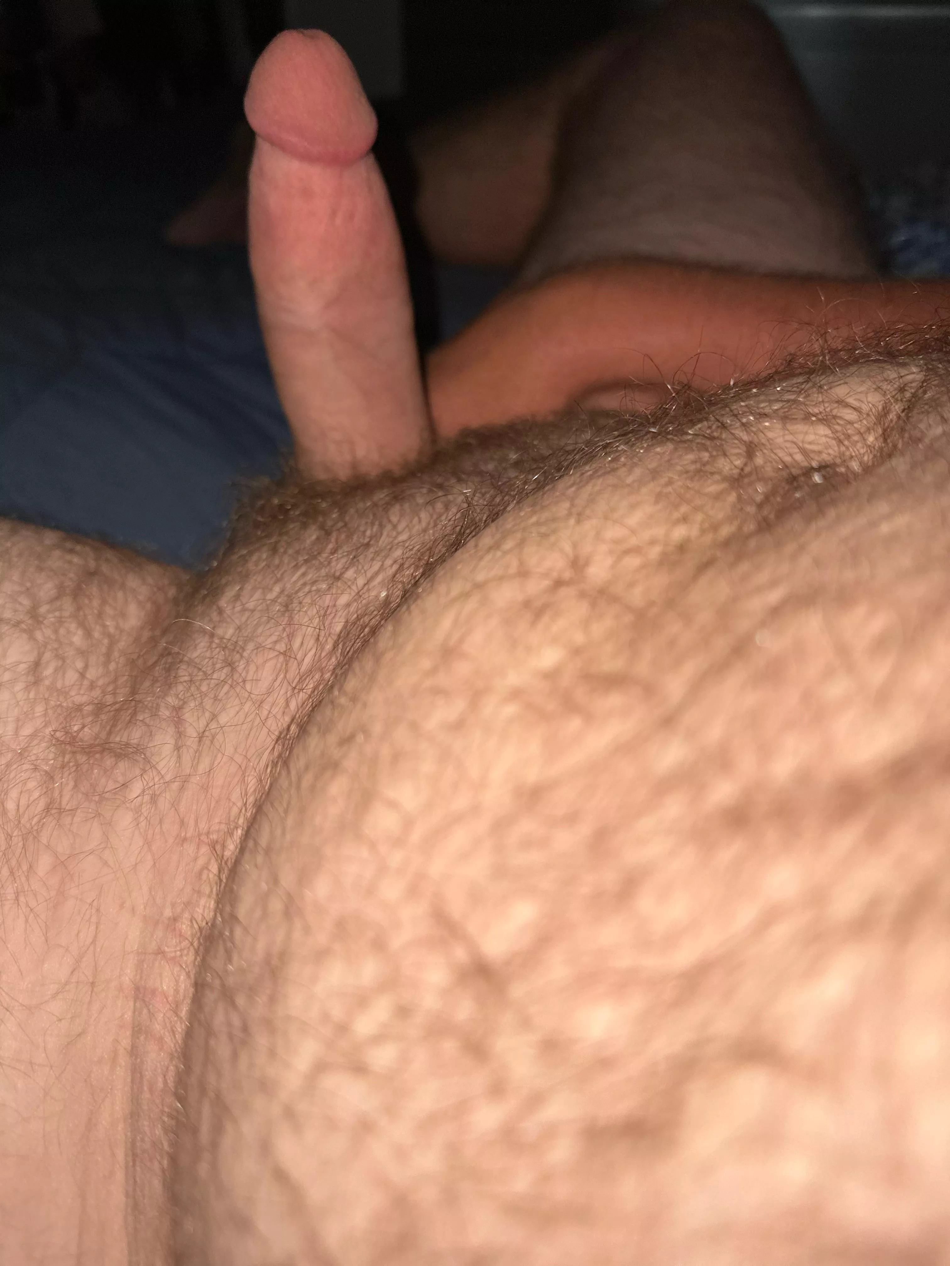 Haven’t shaved in a while, do I shave it or grow the bush?