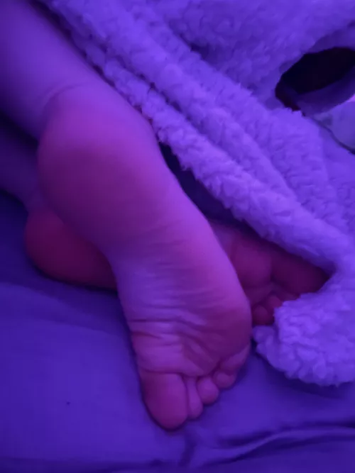 how sweaty do you think they’ll get under this cozy blanket? findom feet