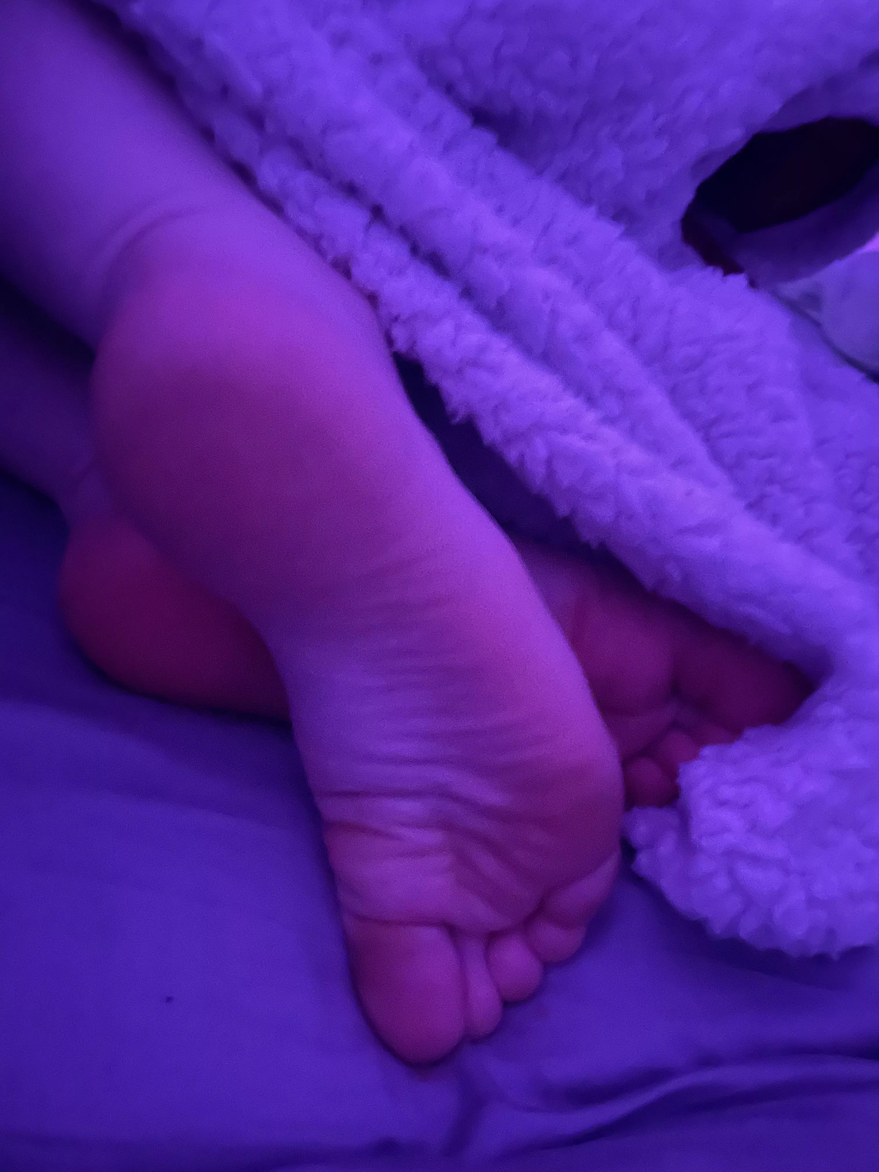 how sweaty do you think they’ll get under this cozy blanket? findom feet