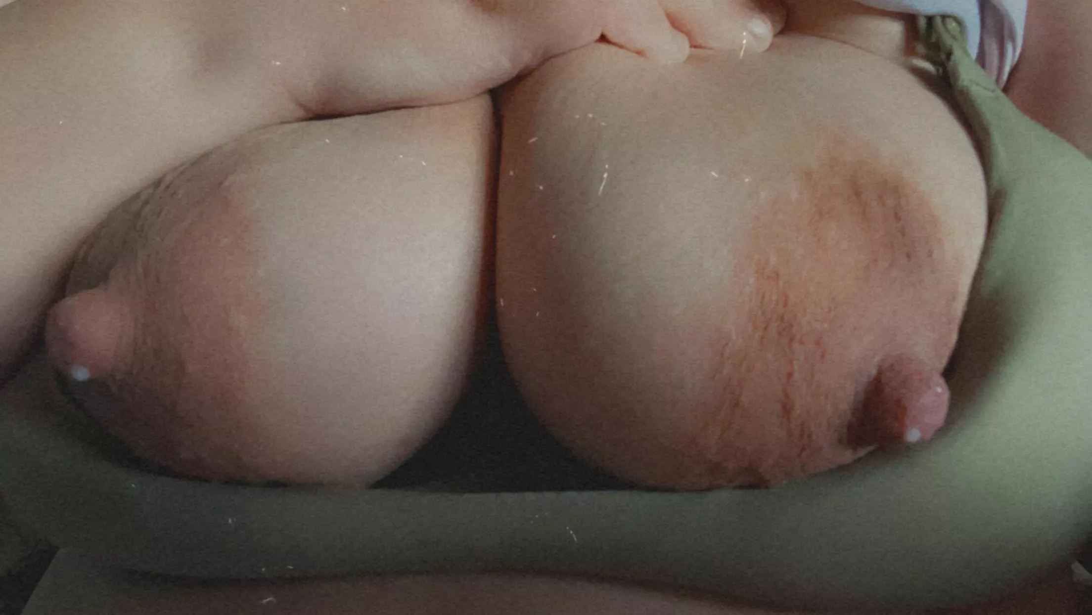 🐮 I’m really enjoying this