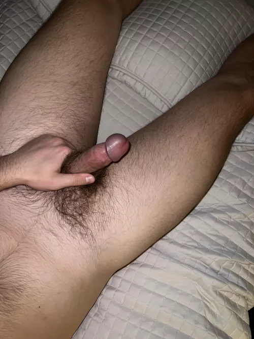 Let’s have some fun