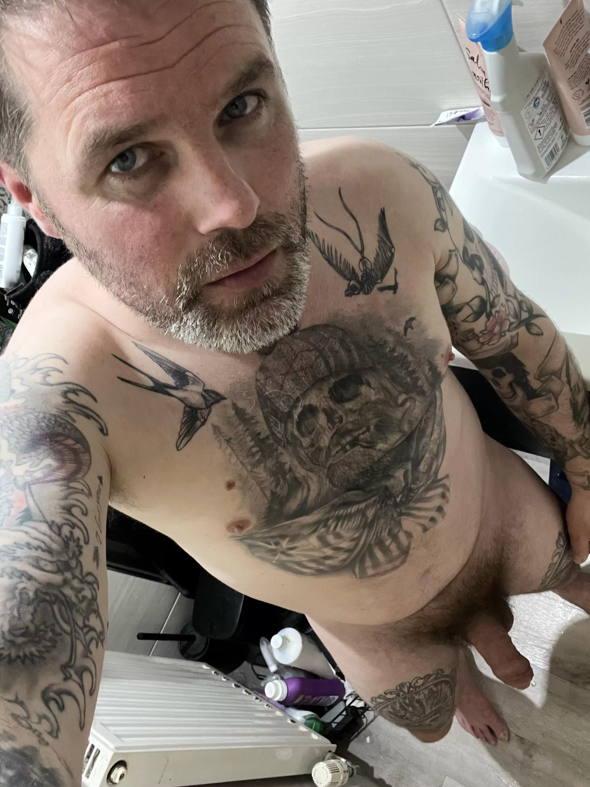 Like the grey ? Like the grey ?