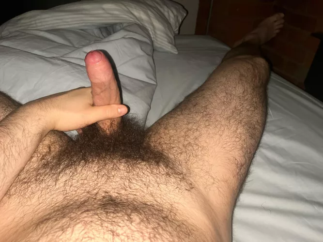 Looking to create a video group for all our bear and cub friends