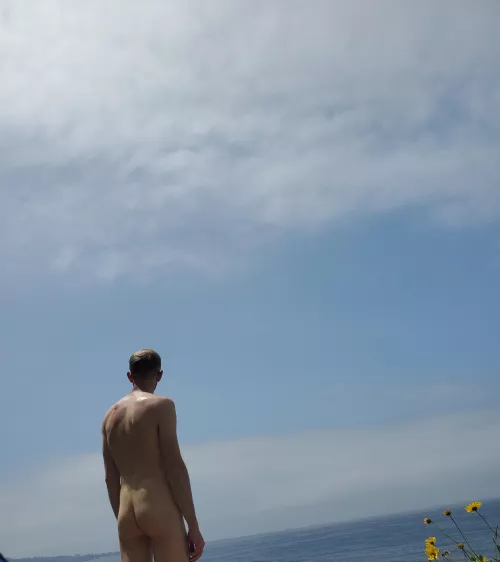 Overlooking Black's Beach