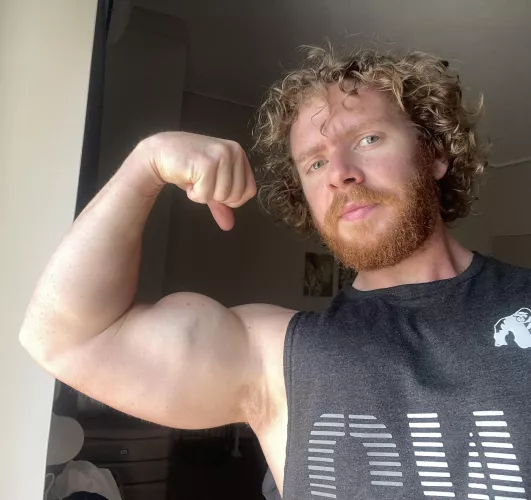 Stick your face in amongst these ginger pits!