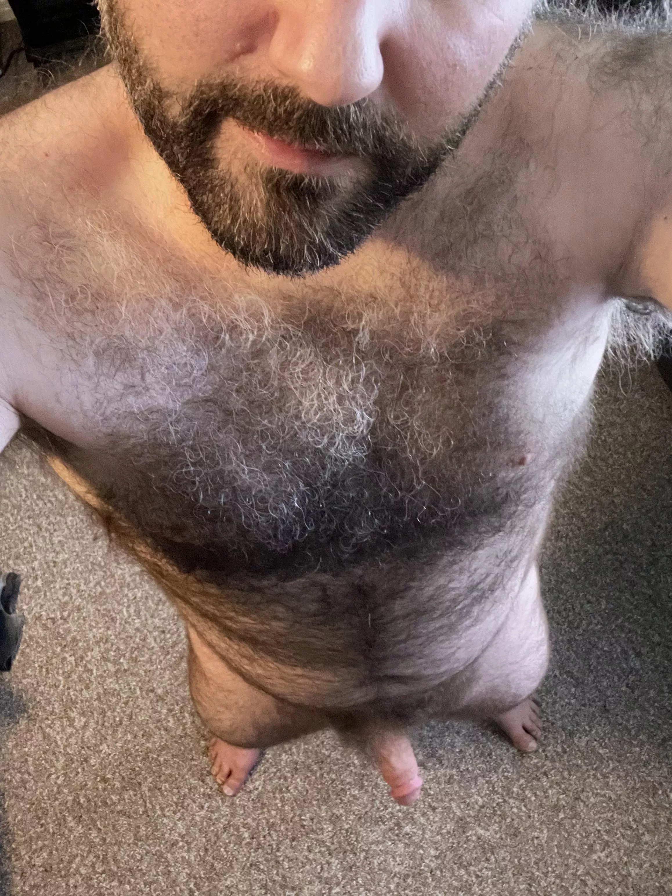 Very furry [40]