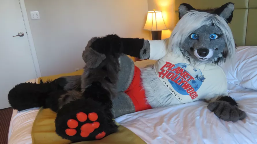 Who wants to cuddle on #fursuitfriday? (photo is me @CassidyTheCivet on twitter! 🧡)