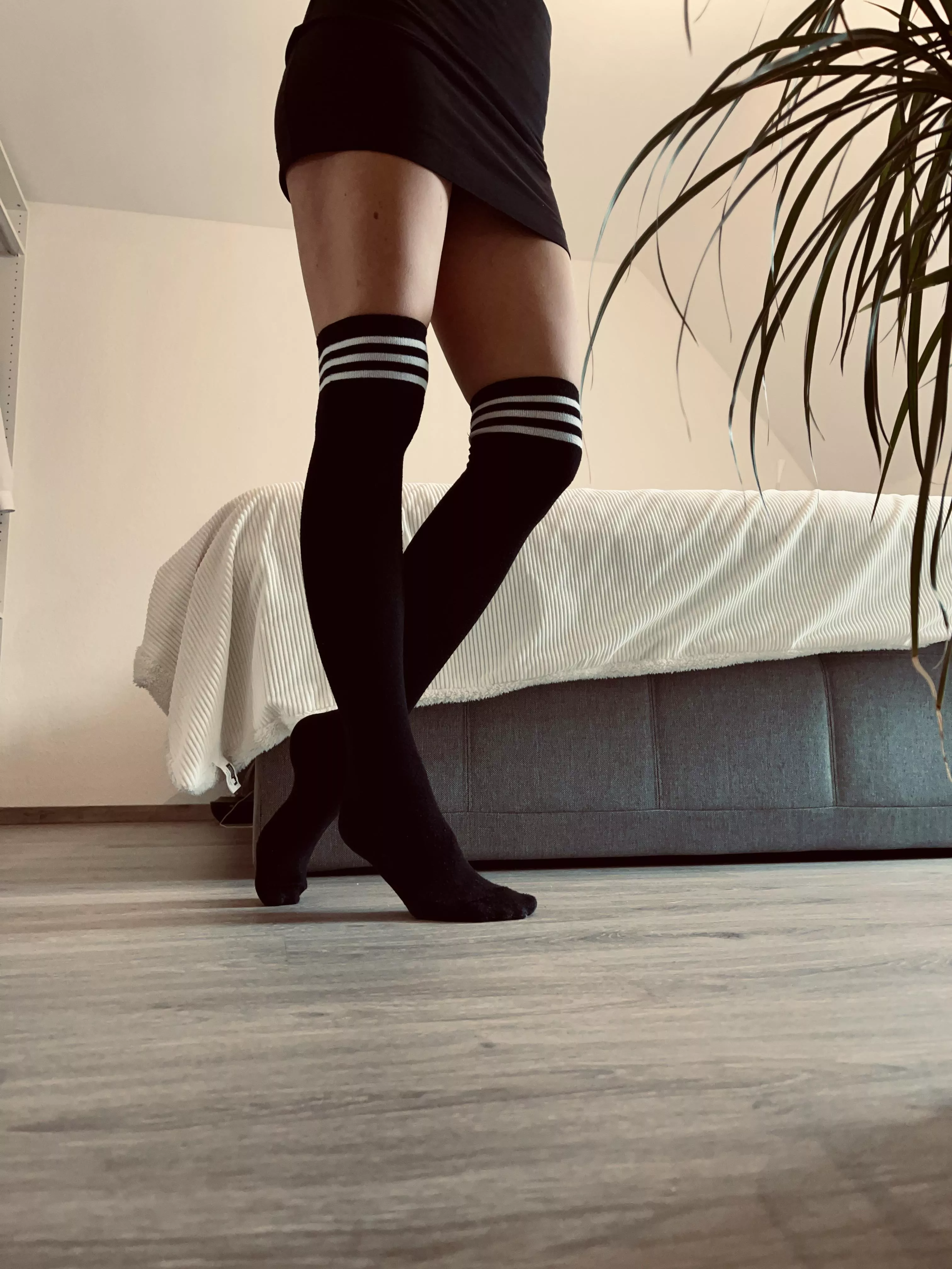 [F] Feeling good in high socks
