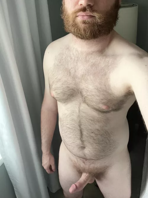 Growing the beard out