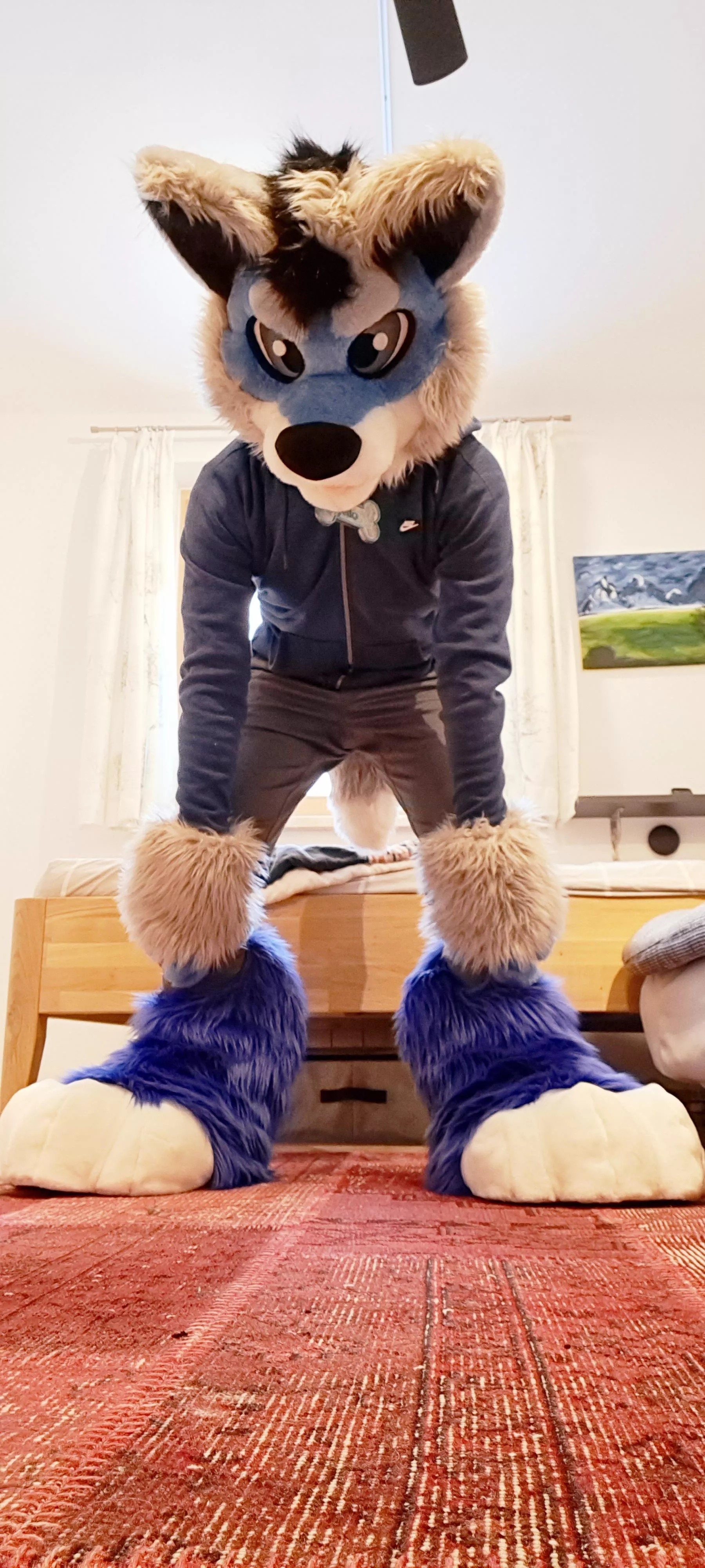 Hello, watcha doing? Care to go for a walk together?