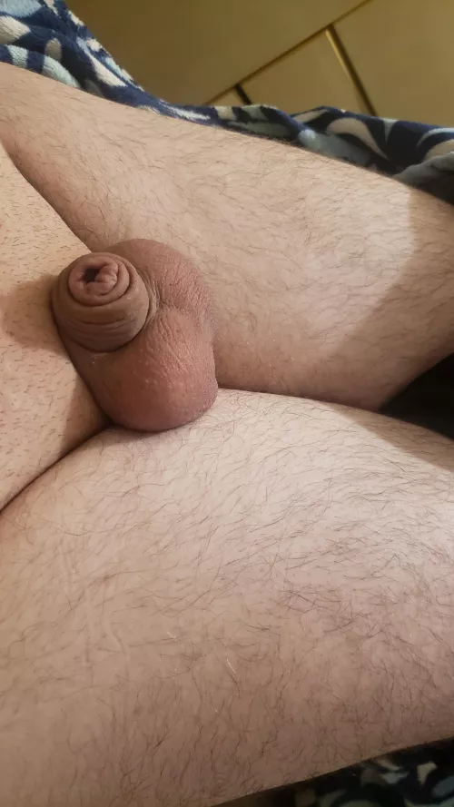 Is clitty allowed here? 🥺