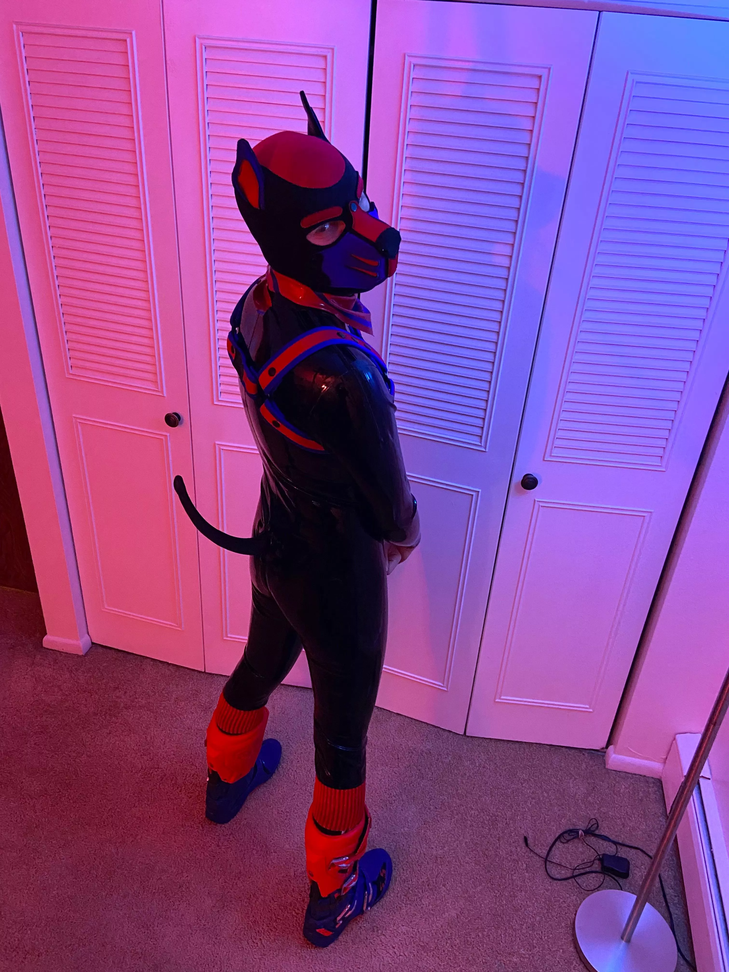 Loving being a shiny pup