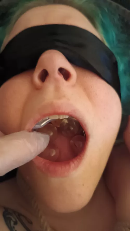 Mouthlocked open breeding