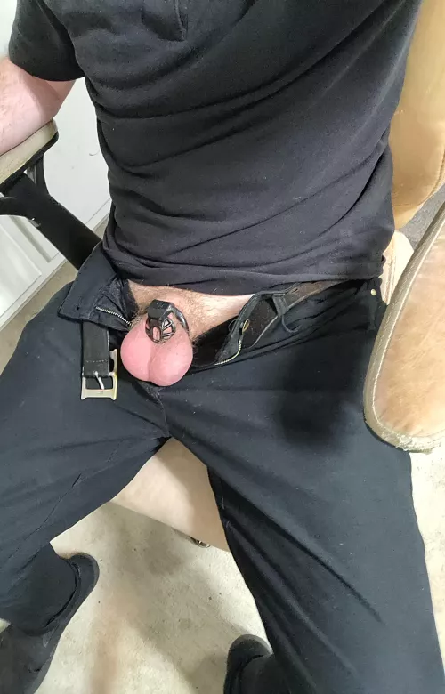 My new cage arrived today!