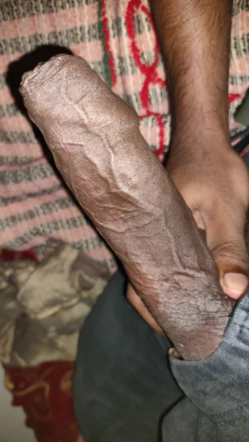 Natural Indian 8 inches BBC for you ! DM me to fu*k you