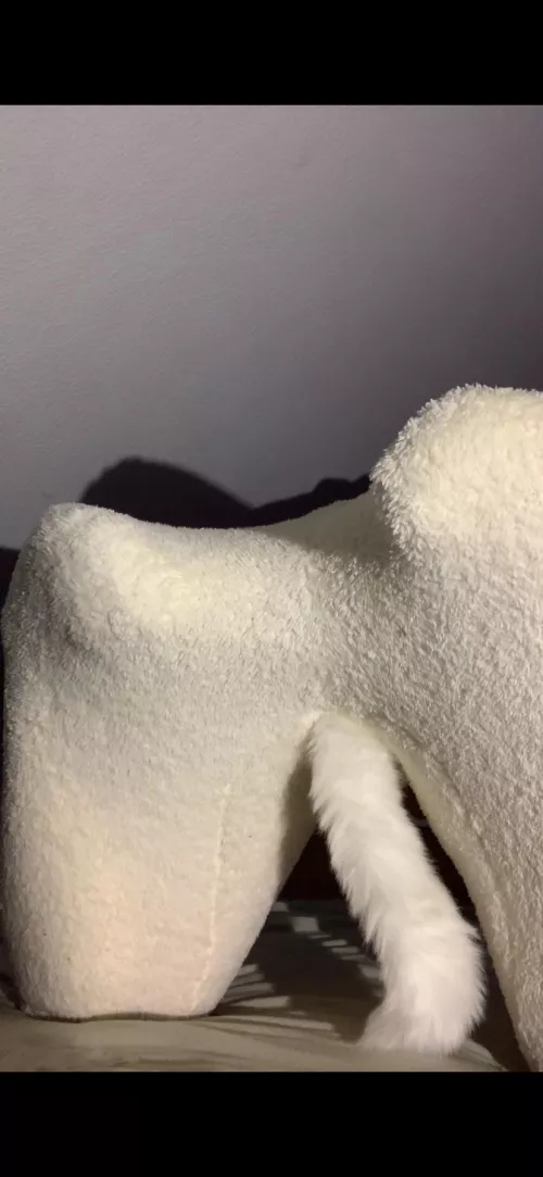 New Tail for my murrsuit bitchsuit❤️